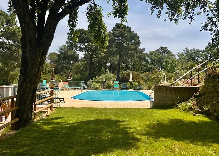 Lejlighed Sera & Mattino By Solturelba Capoliveri (Isola d'Elba)